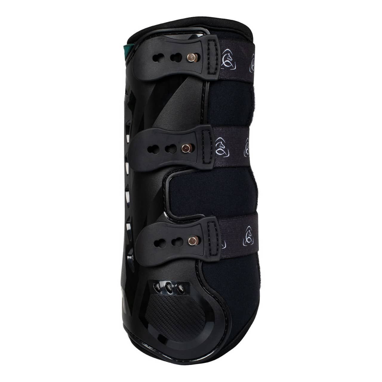 Stinchiere dressage anteriori anatomiche