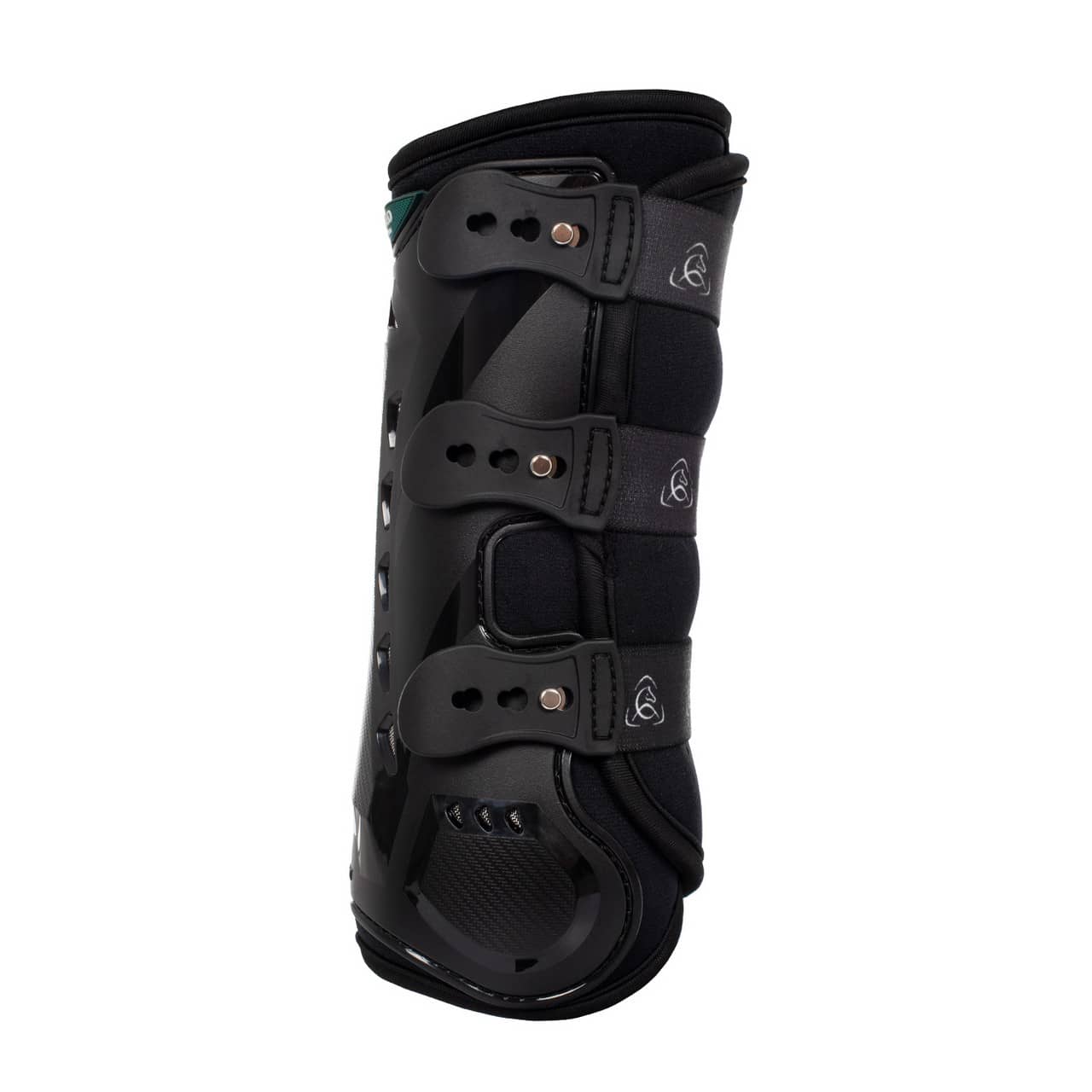 Stinchiere dressage posteriori anatomiche