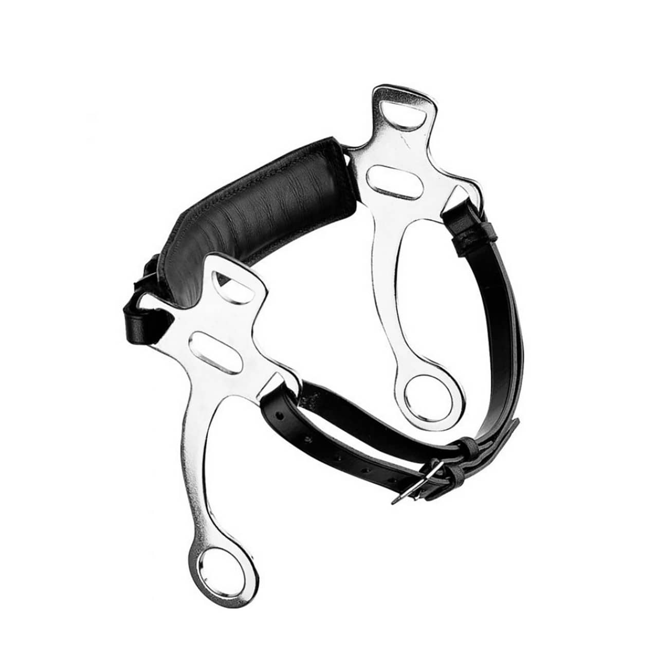 Hackamore black