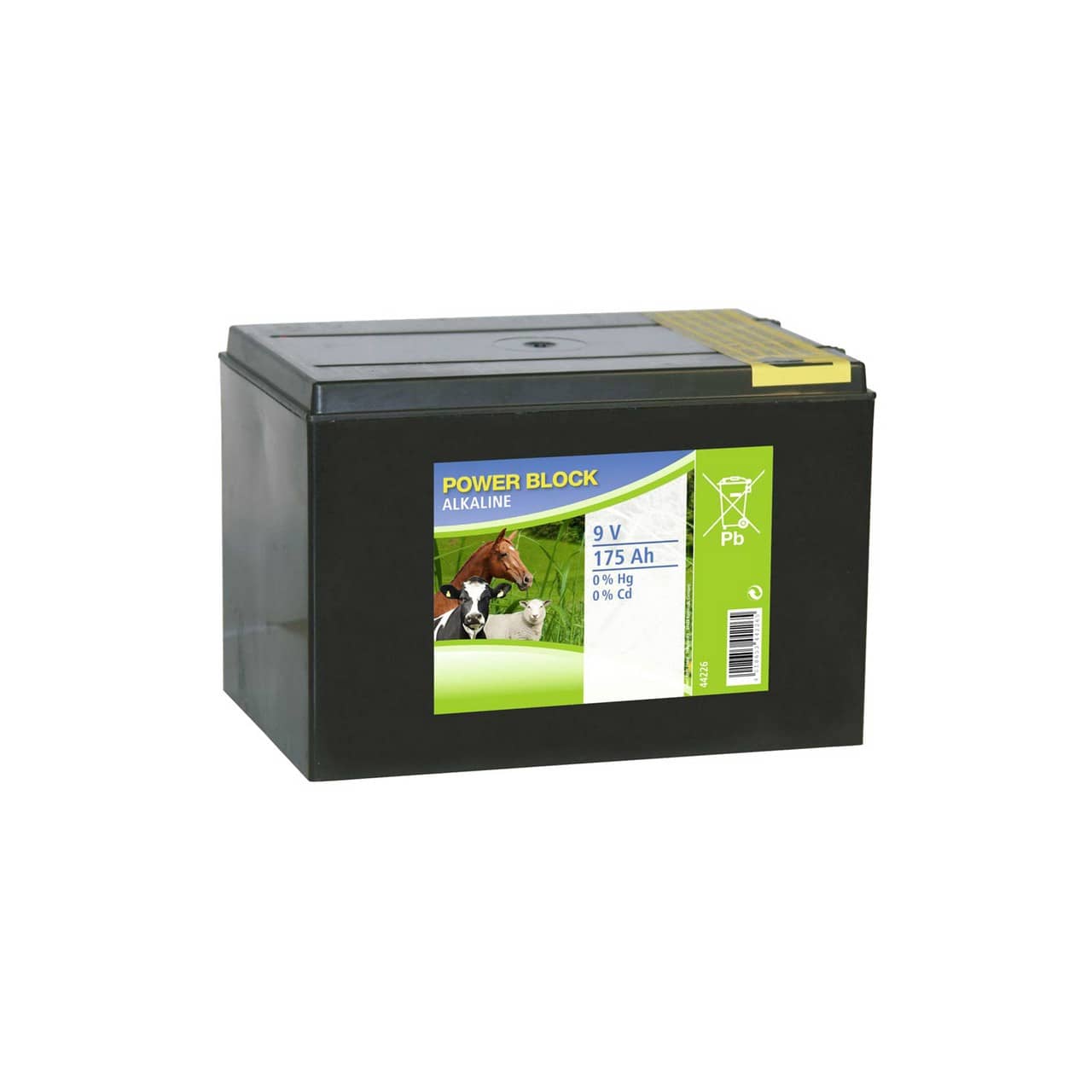 Batteria alcalina a secco 9V 175Ah