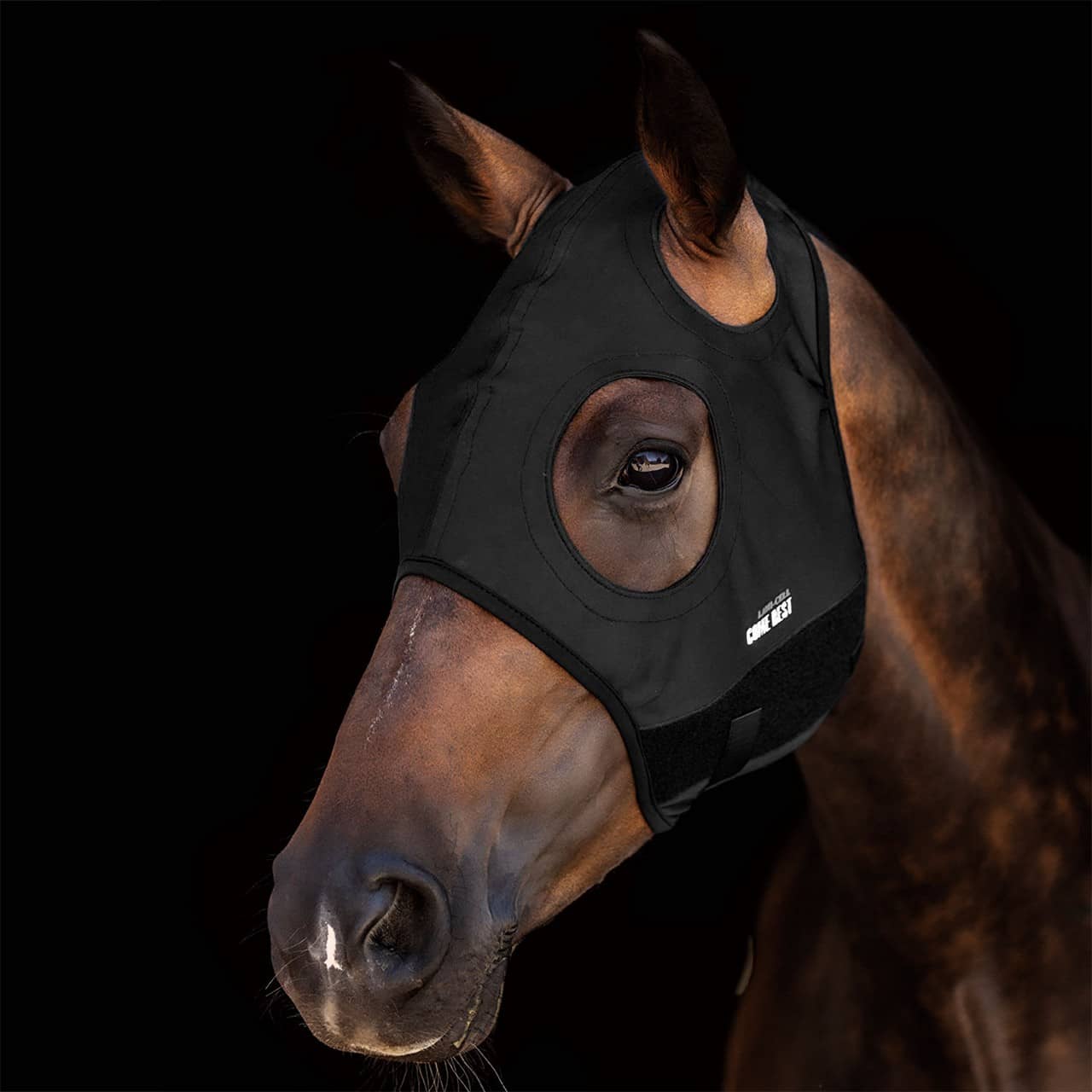Titanium Mask Come Best no ears