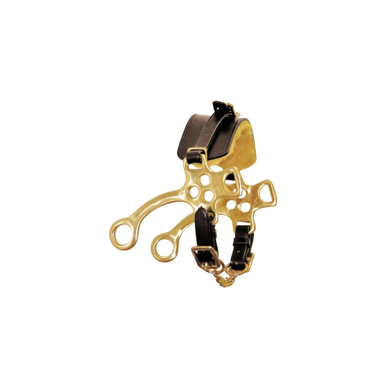 Hackamore ottone con nasalina in cuoio