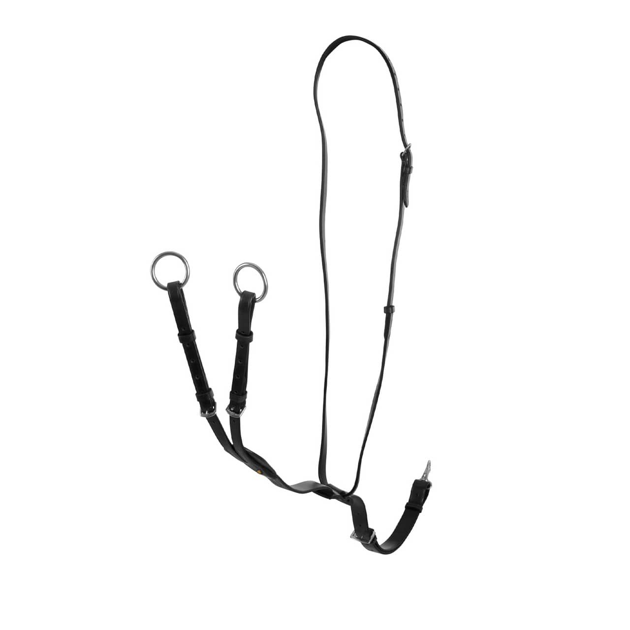 Martingala a collier cuoio fibbie regolabili