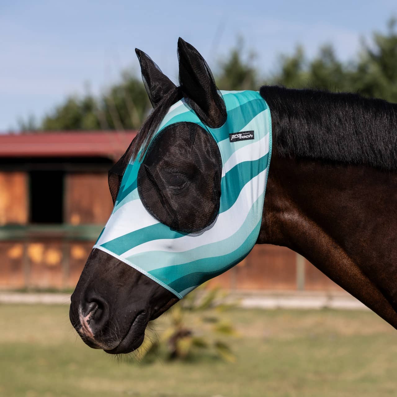 Maschera anti mosche con retina copriorecchie
