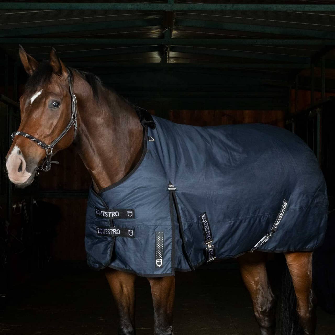 Coperta da paddock Nevada 250 gr in tessuto antistrappo