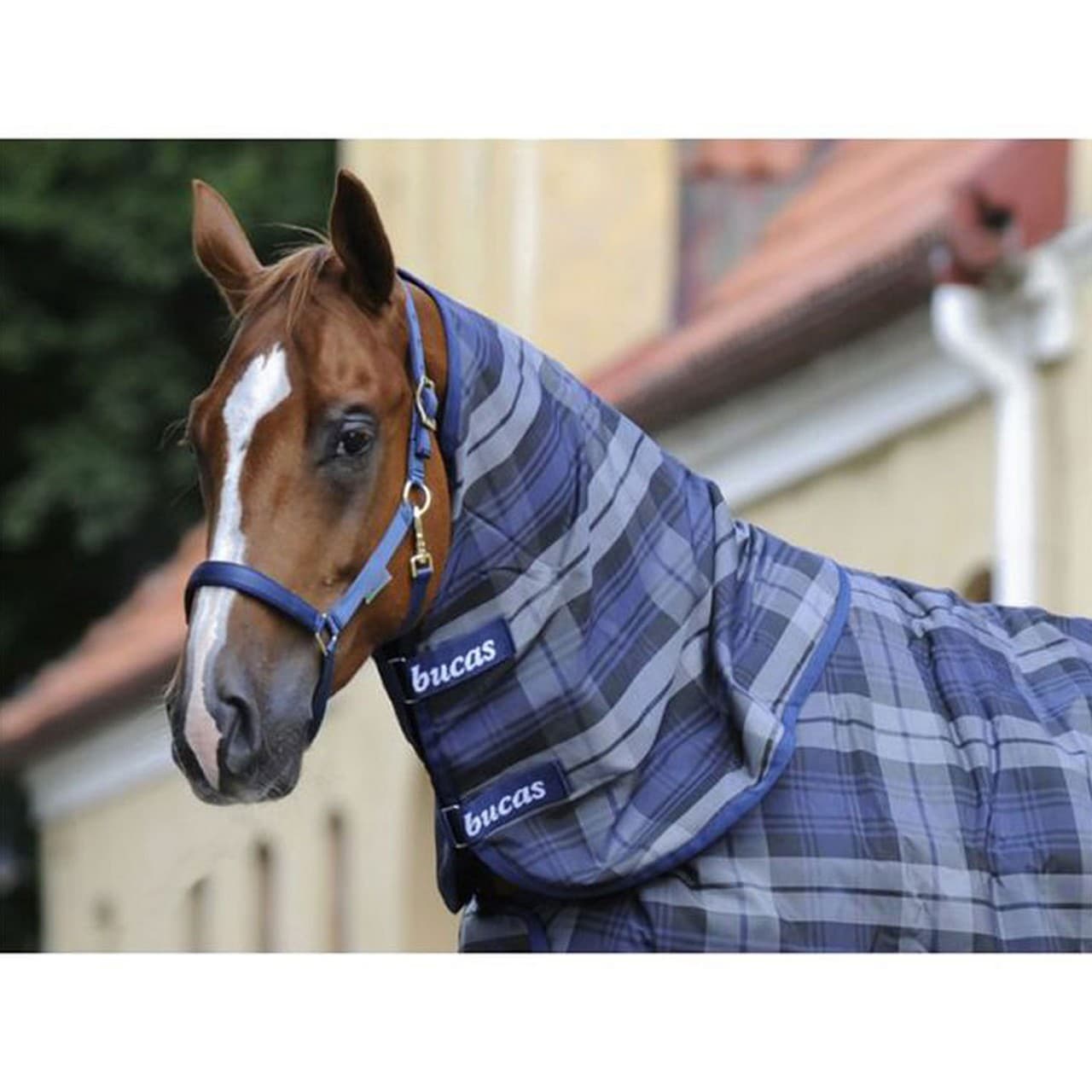 Tartan Navy