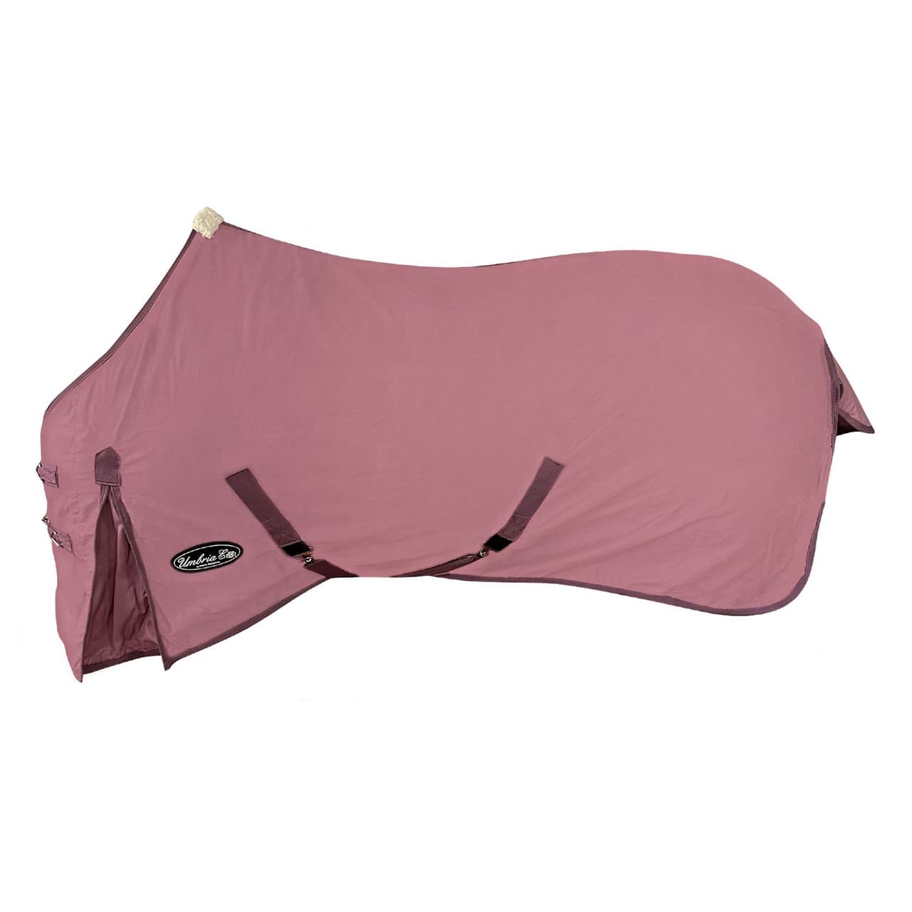 Fucsia