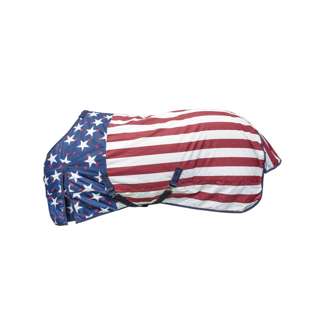 Usa Flag