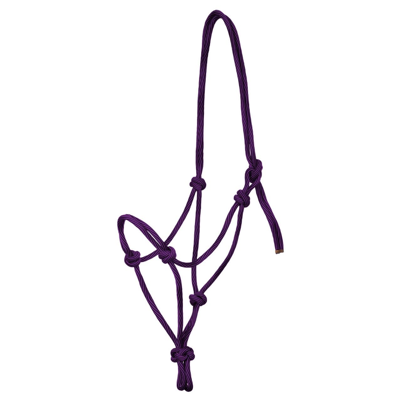 Purple Black
