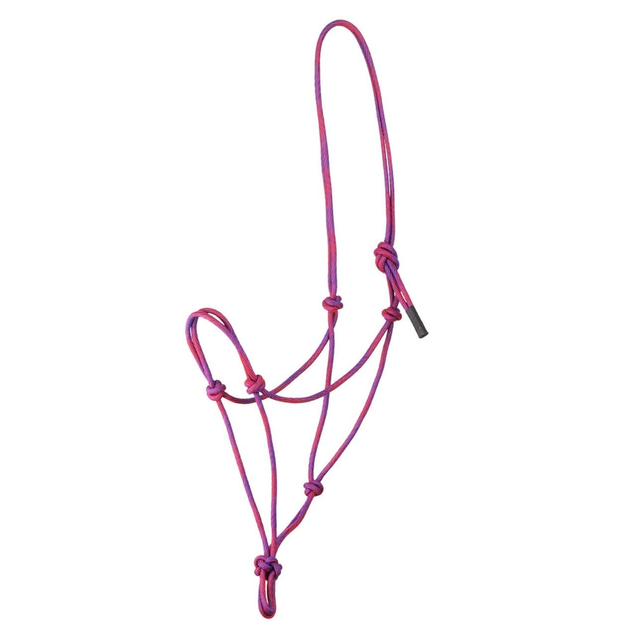 Pink Purple