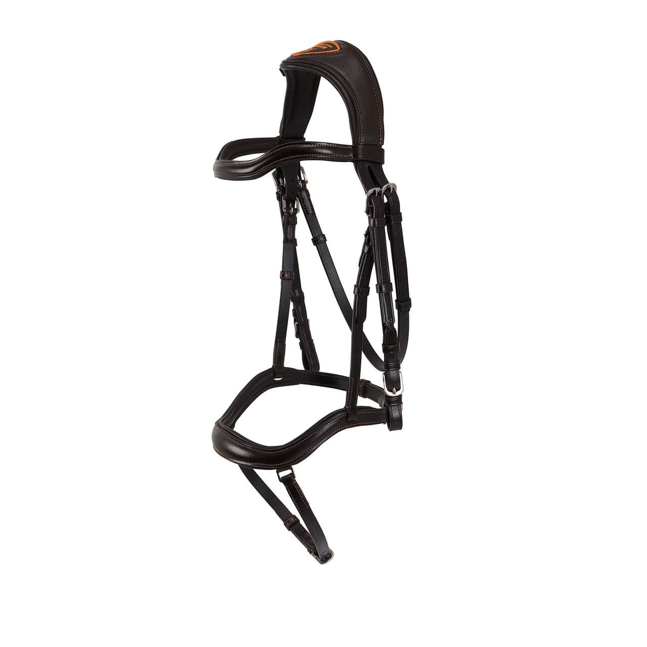 Testiera anatomica Allegoria, vista 1
