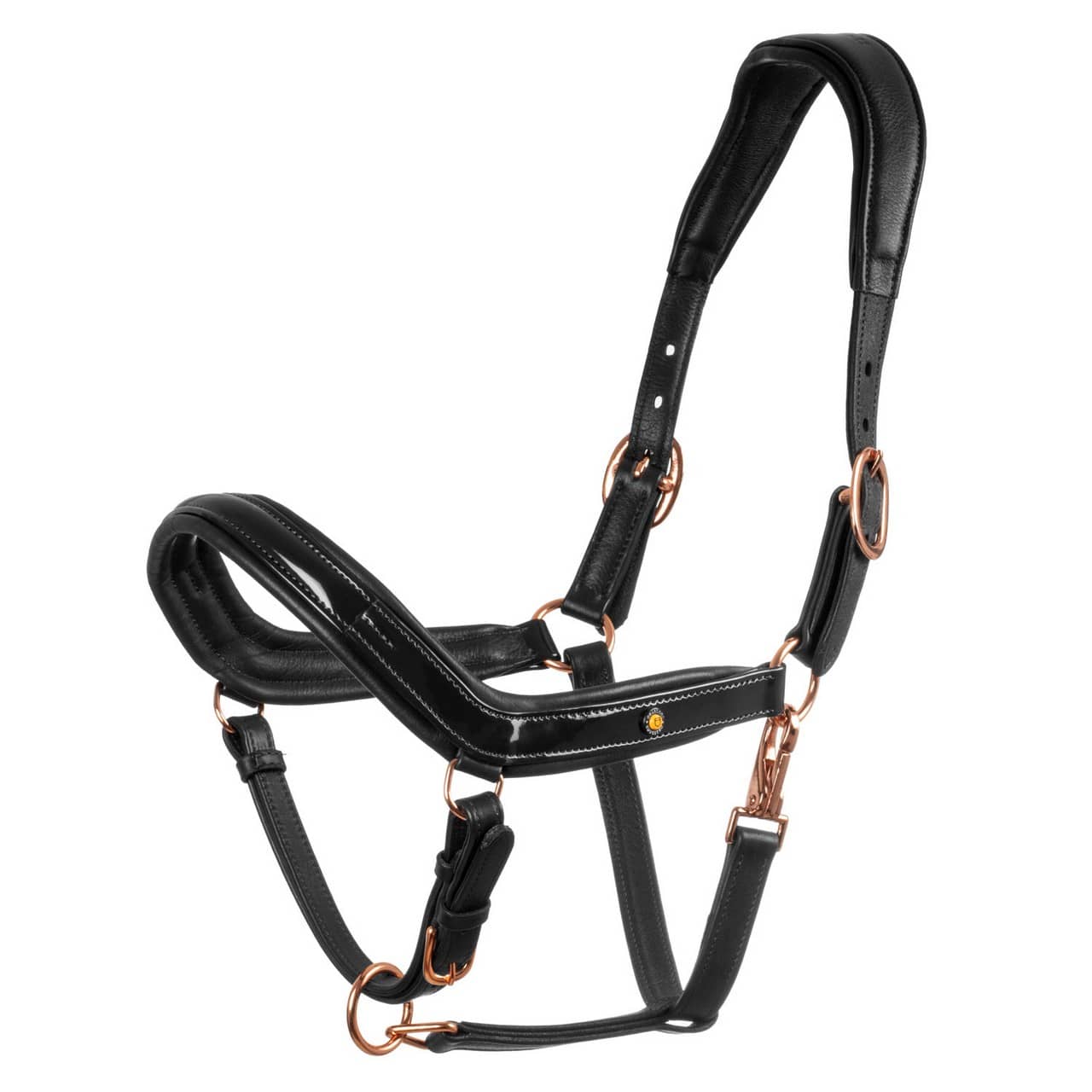 Cavezza cuoio lucido fibbie rose gold