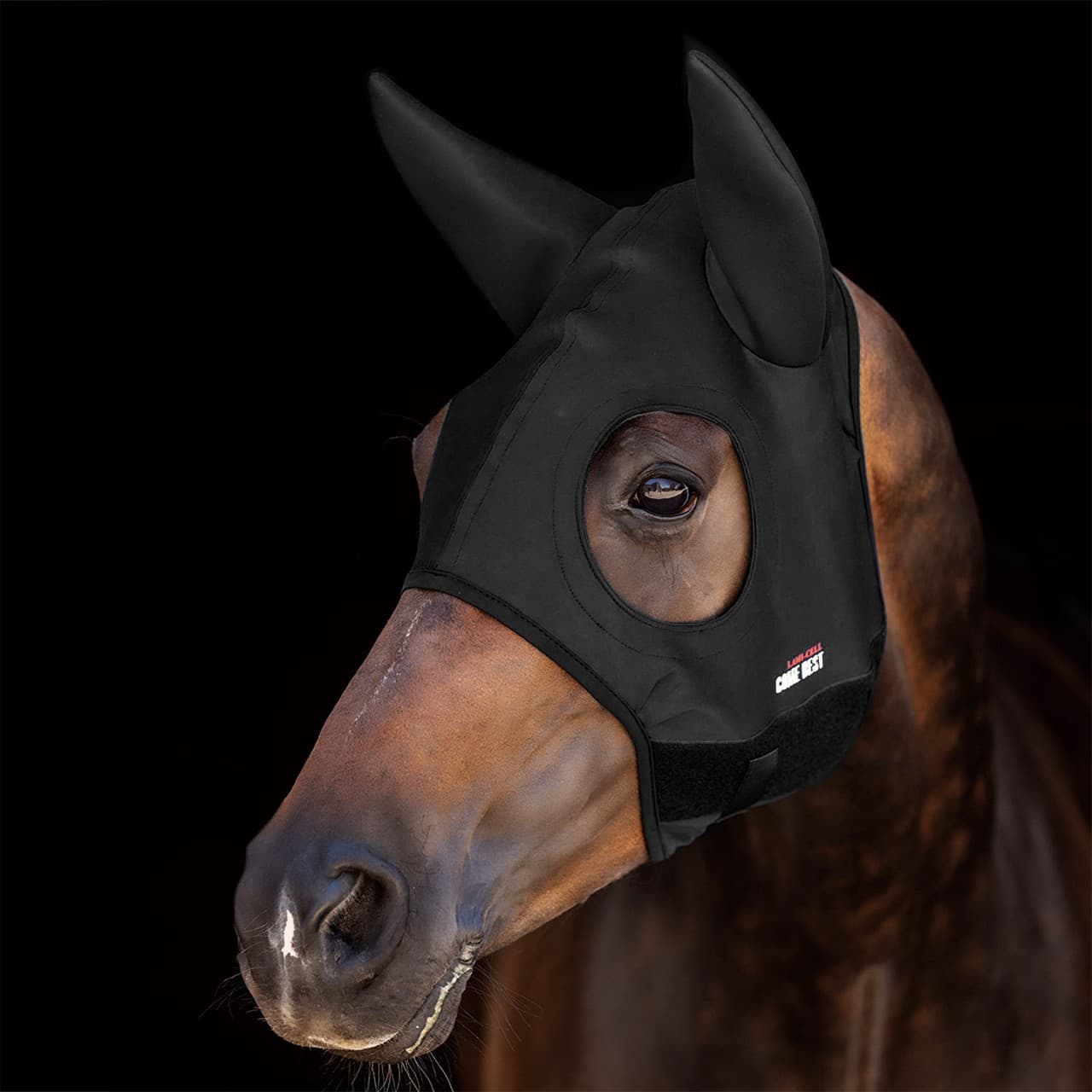 Titanium Mask come best with ears, vista 1