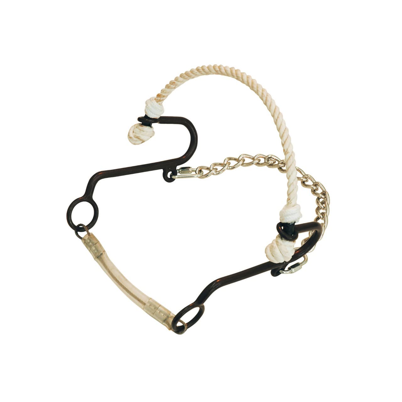 Short Hackamore, ferro brunito, Rawhide Pool's, vista 1