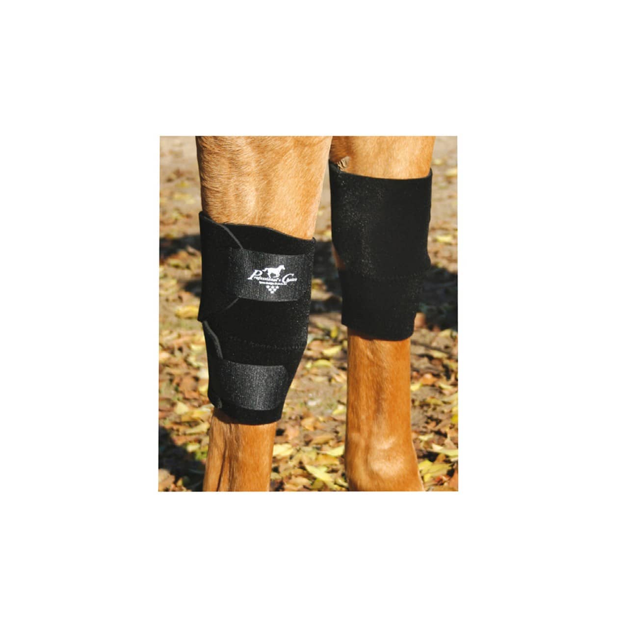Ginocchiera per cavallo, Professional's Choice KB101