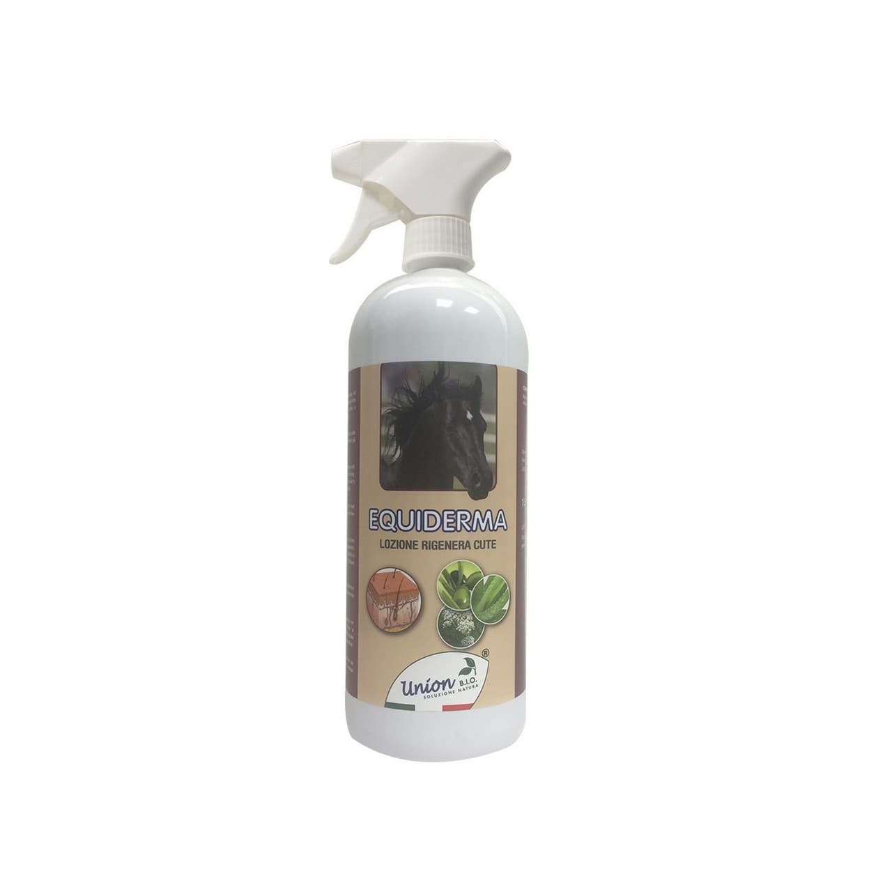 Equiderma (1 l), vista 1