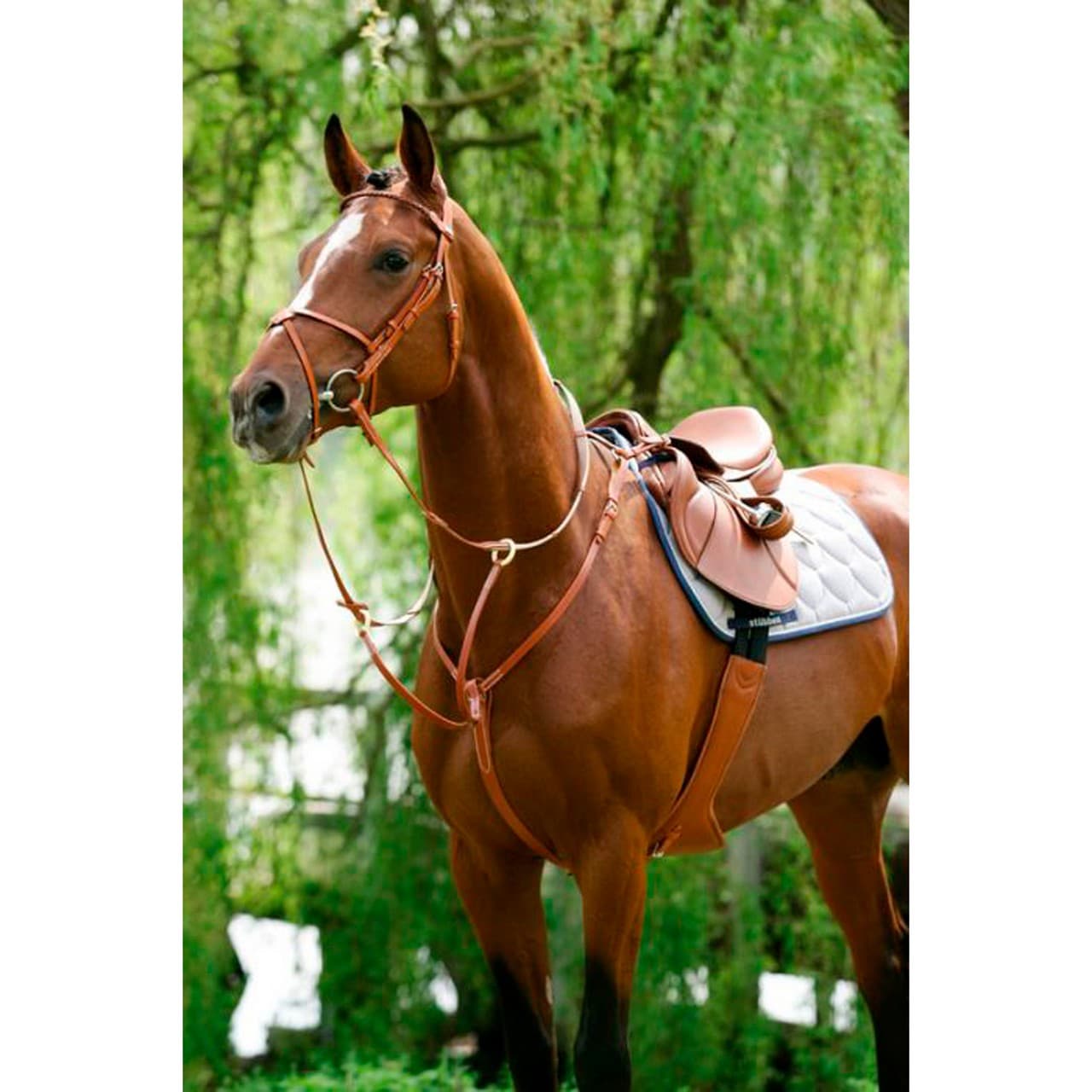 Breastplate with running attachment, vista 1