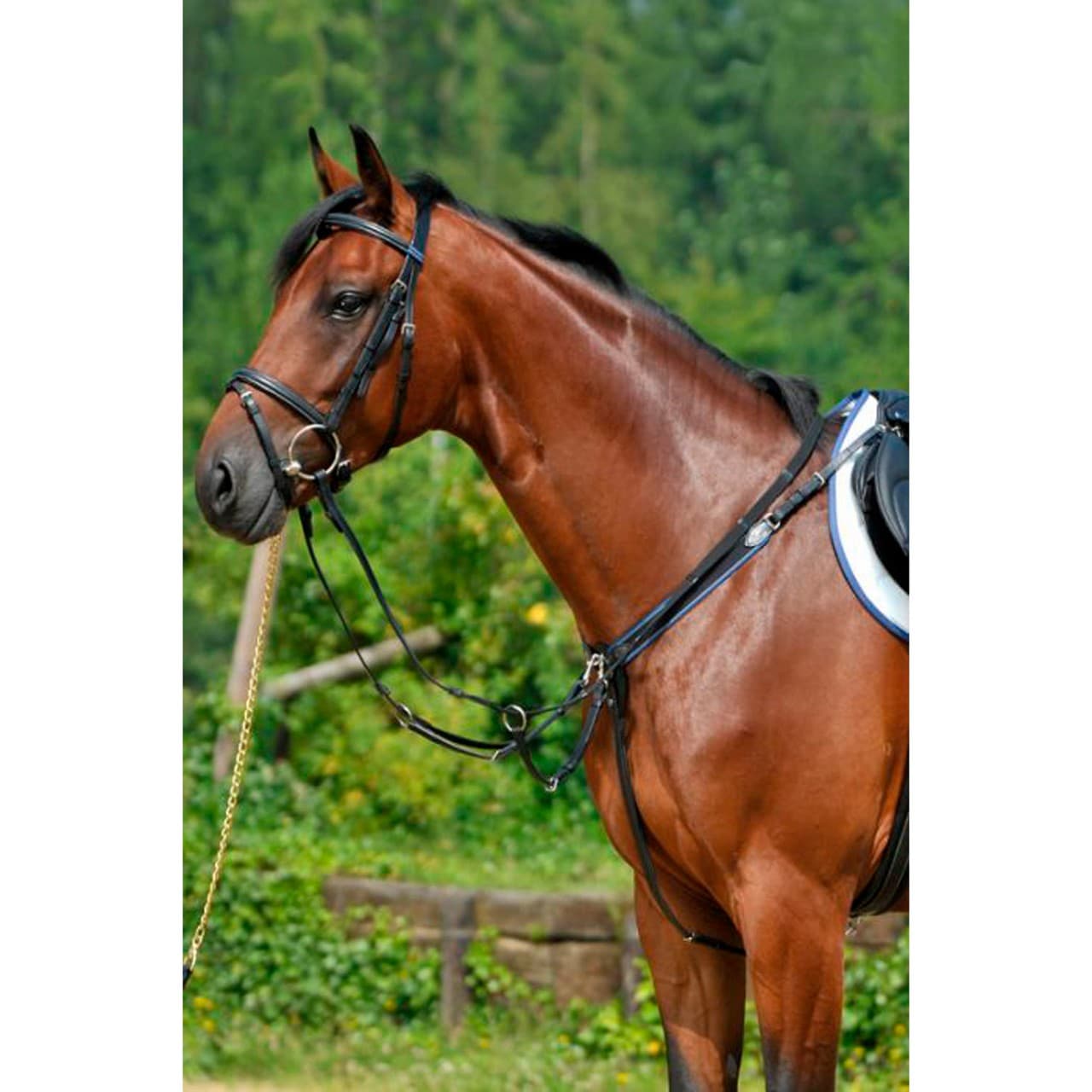 Breastplate with elastic and running attachment, vista 1