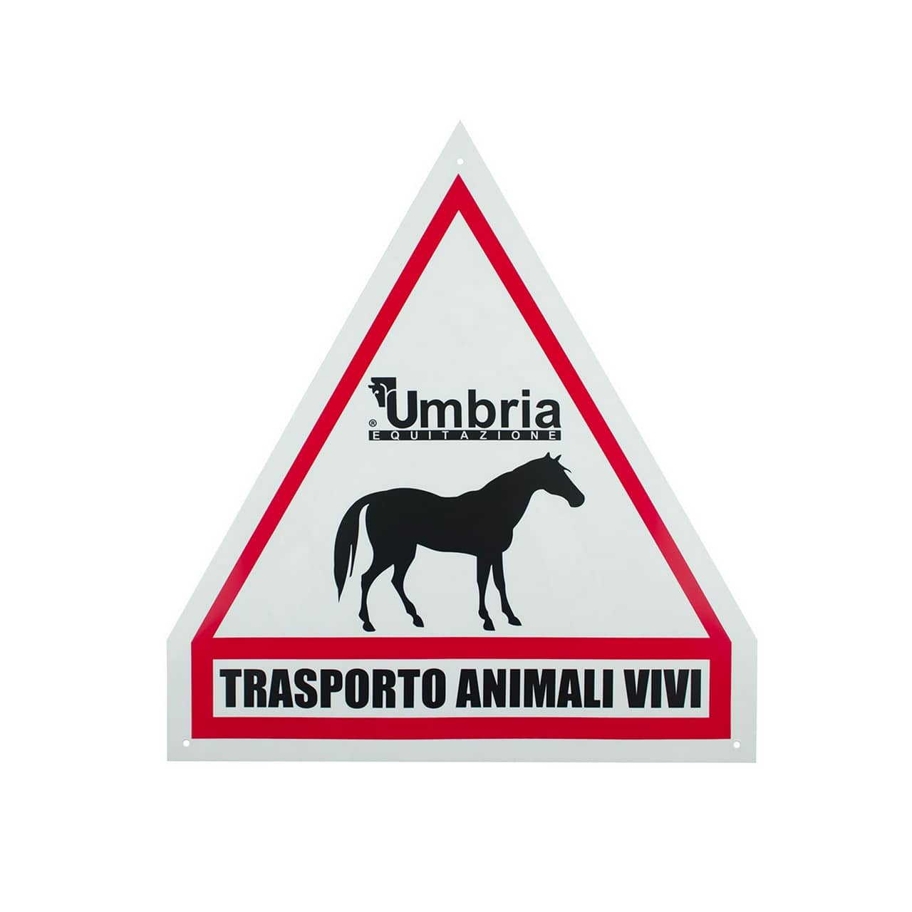 Cartello trasporto cavalli Umbria Equitazione