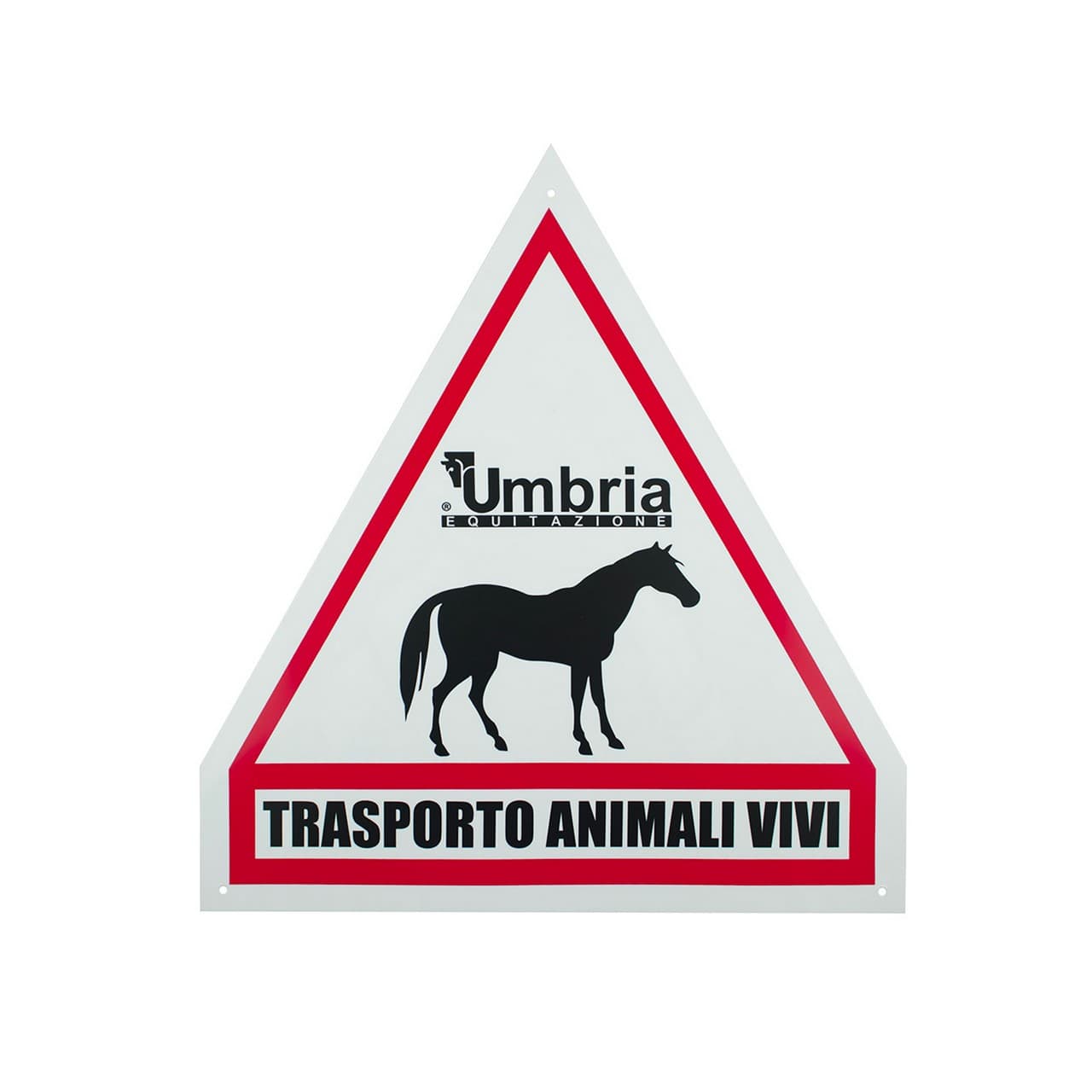 Cartello trasporto cavalli Umbria Equitazione, vista 1