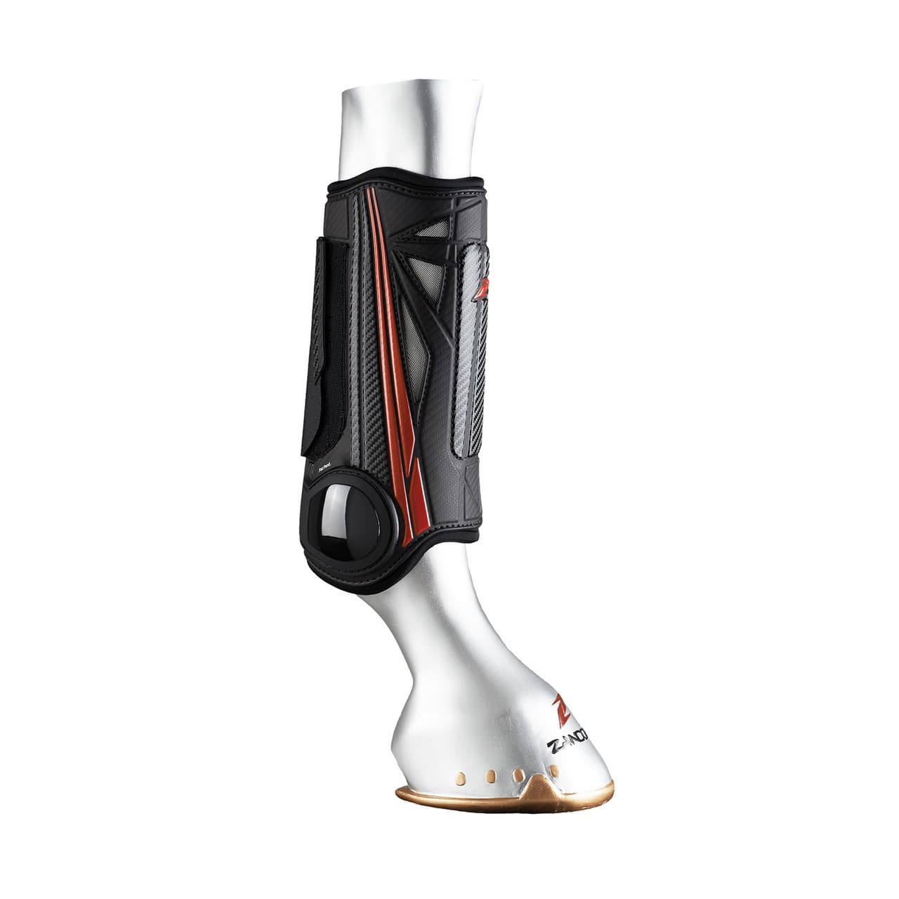 Paratendini Carbon Air X-Country back, vista 1